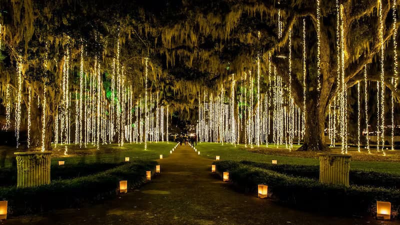 Couple walking through Brookgreen Gardens under Spanish moss